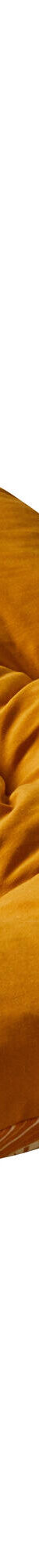 Long coussin déco imprimé feuillage (jaune) Long coussin déco imprimé feuillage (jaune)